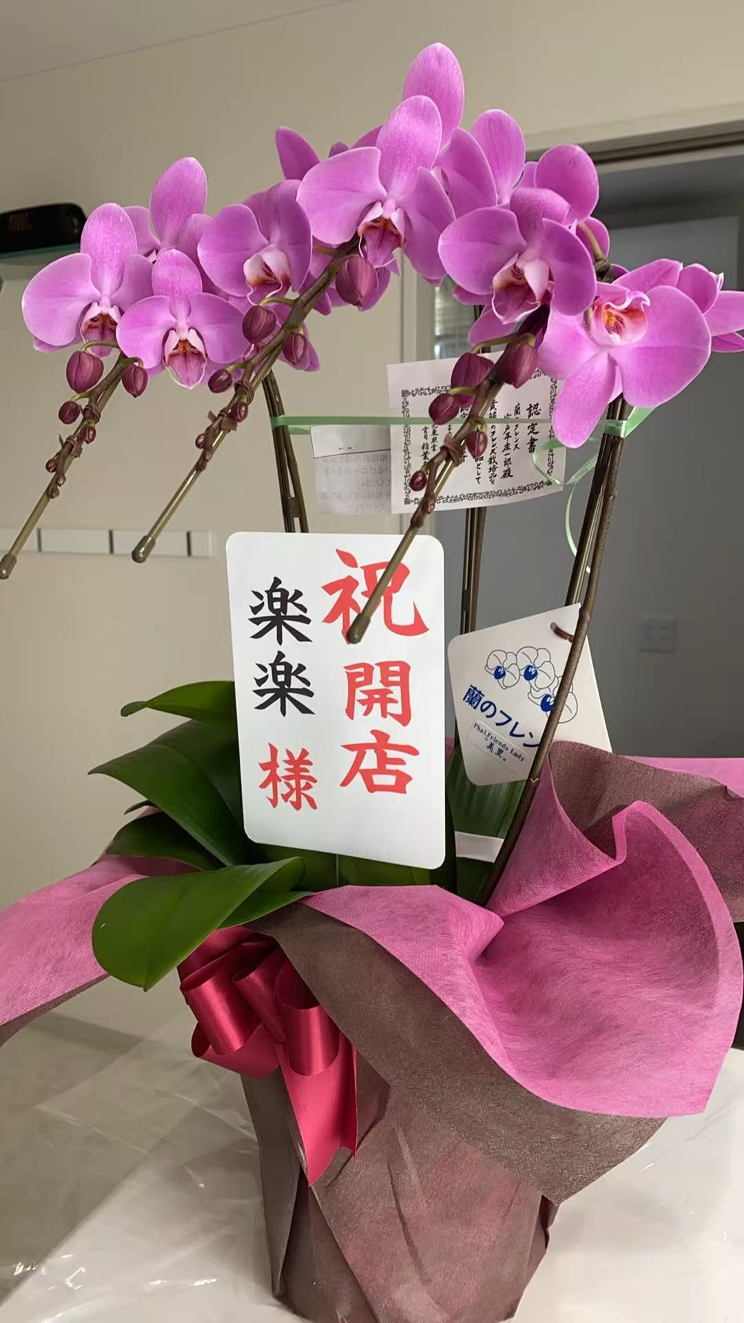 マッサージオイル